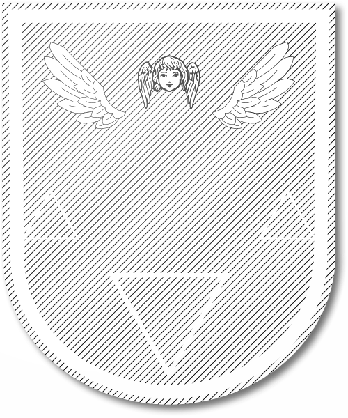 Shield image