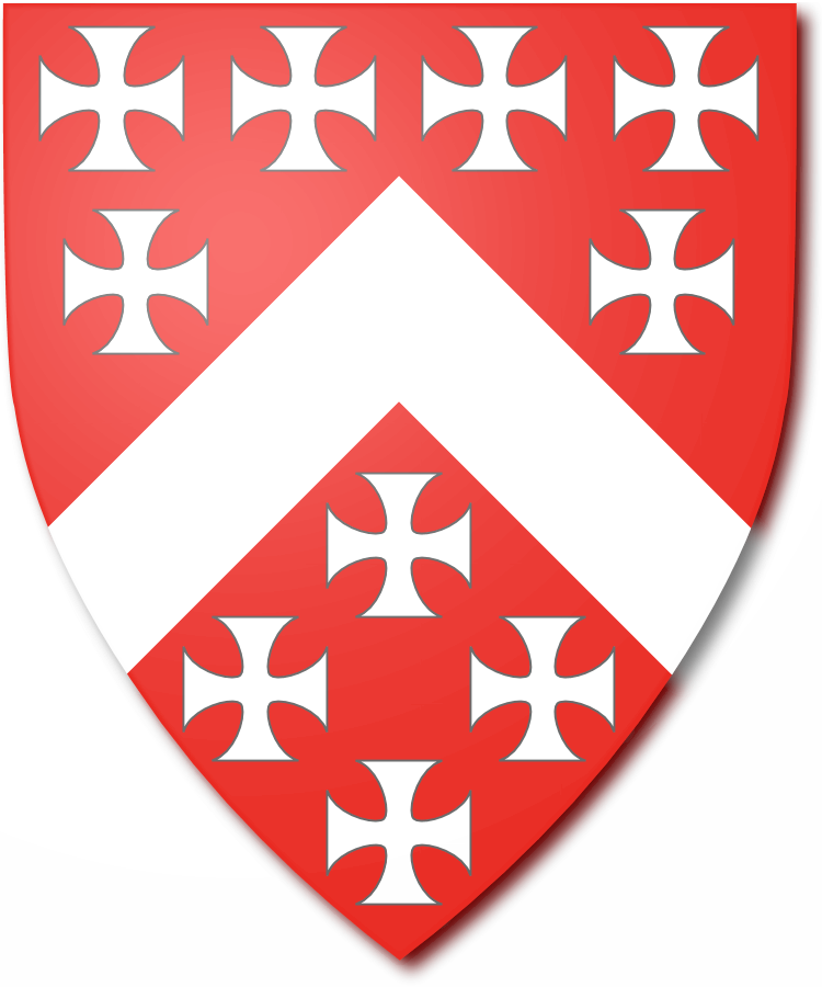 Shield image