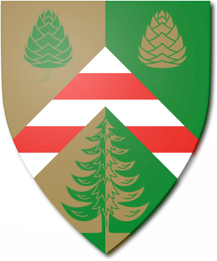 Shield image