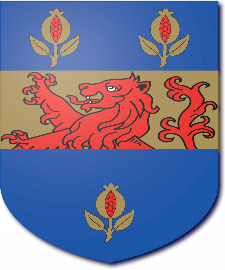 Shield image