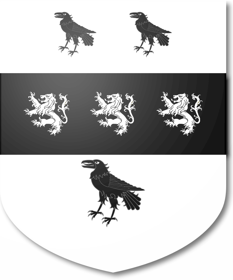 Shield image