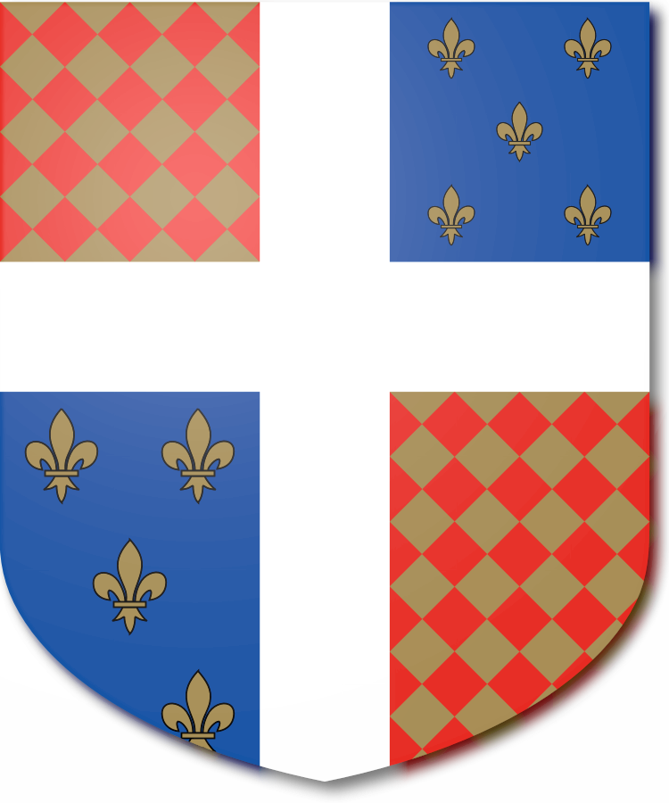 Shield image