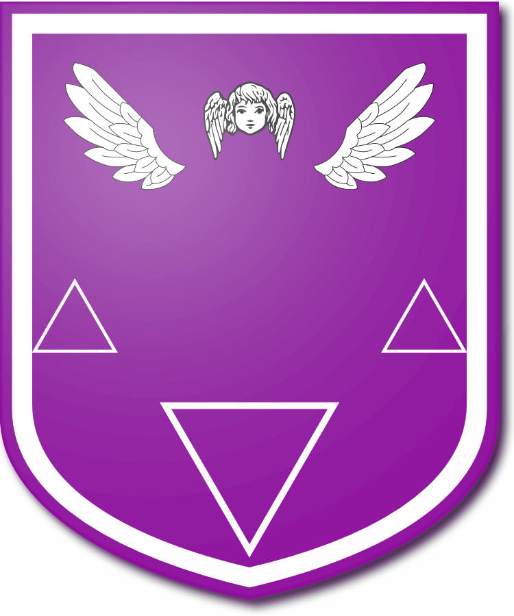 Shield image