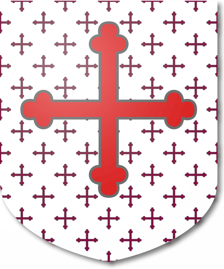 Shield image