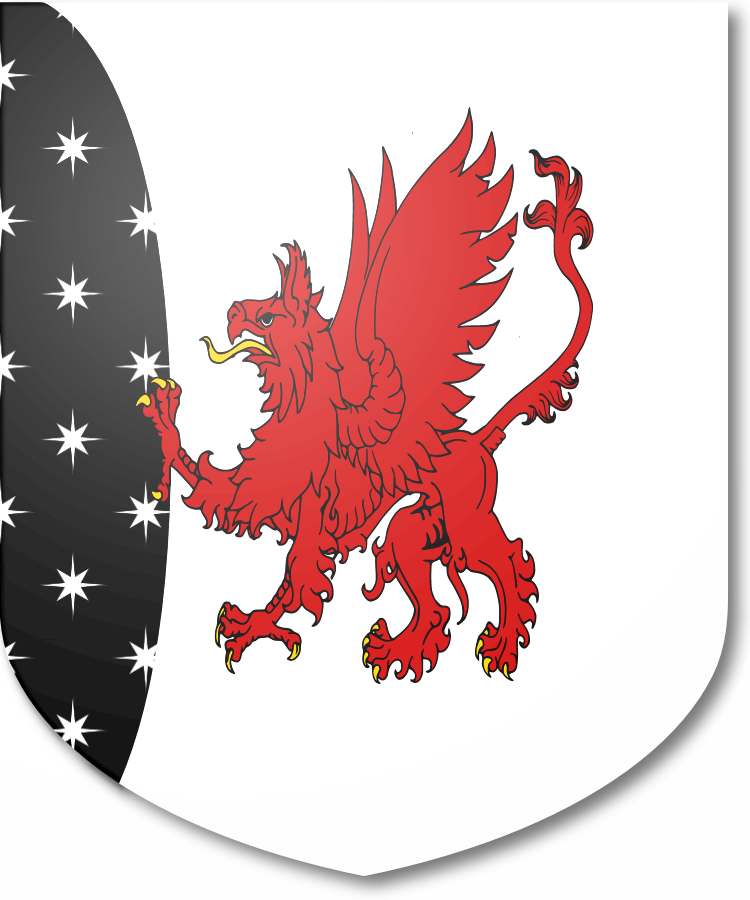 Shield image