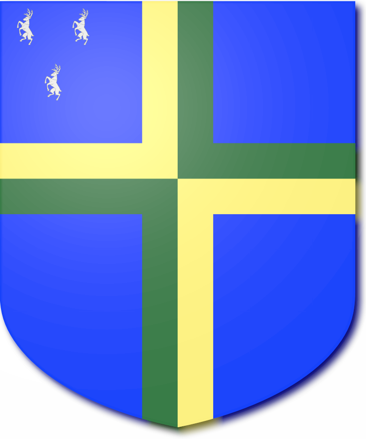 Shield image