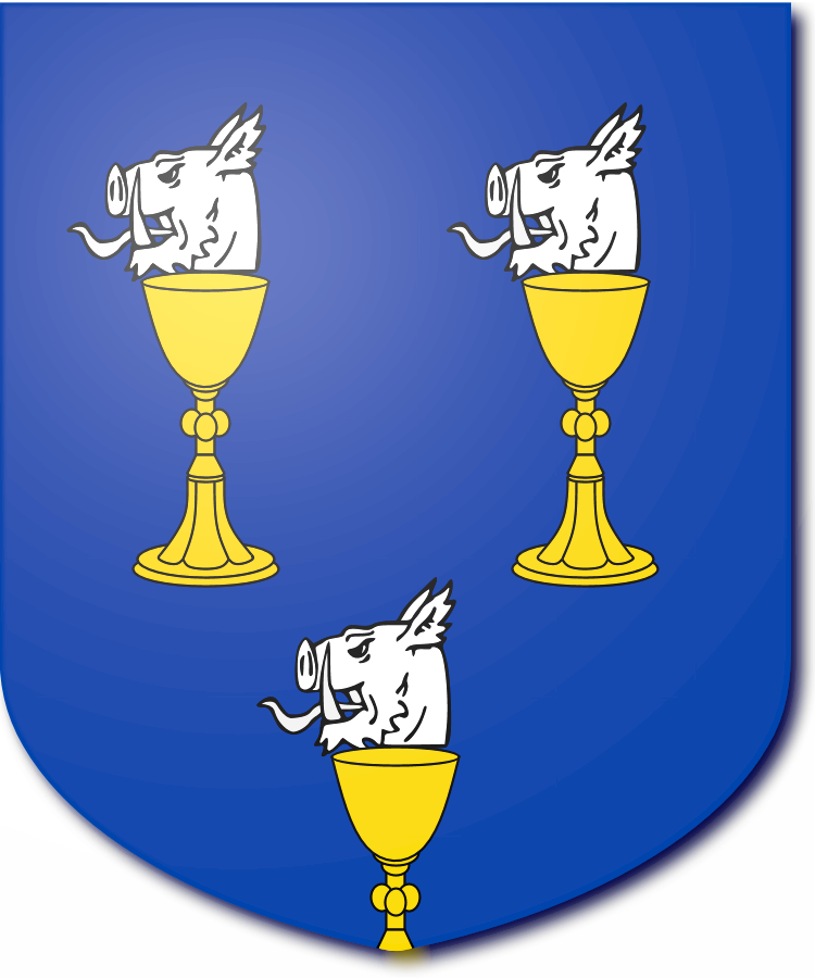 Shield image