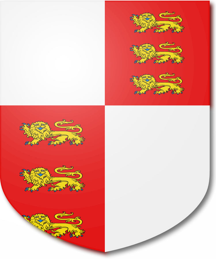 Shield image