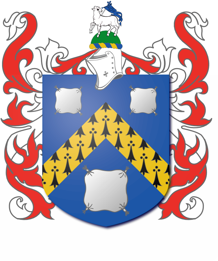 Shield image