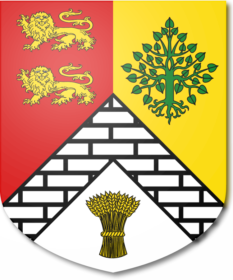 Shield image