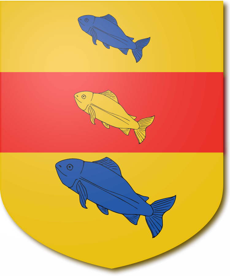 Shield image