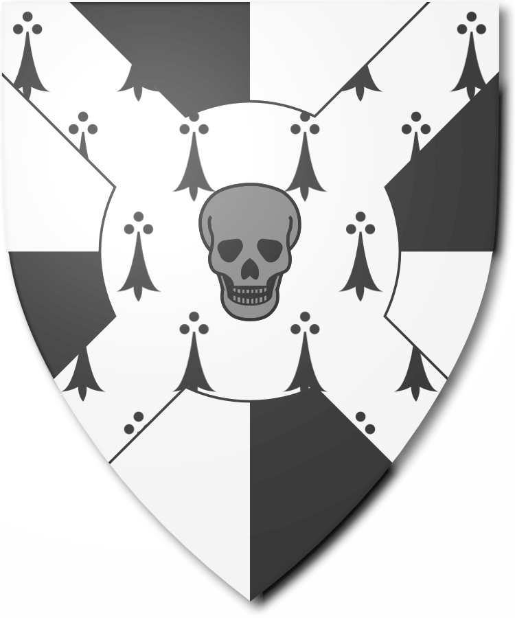 Shield image