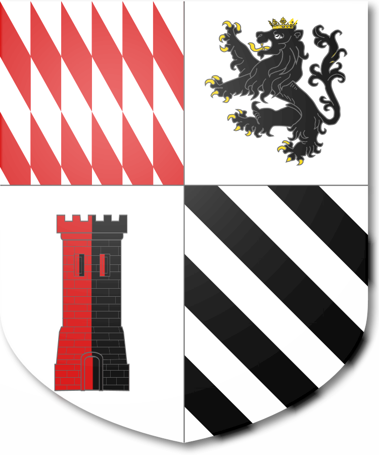 Shield image