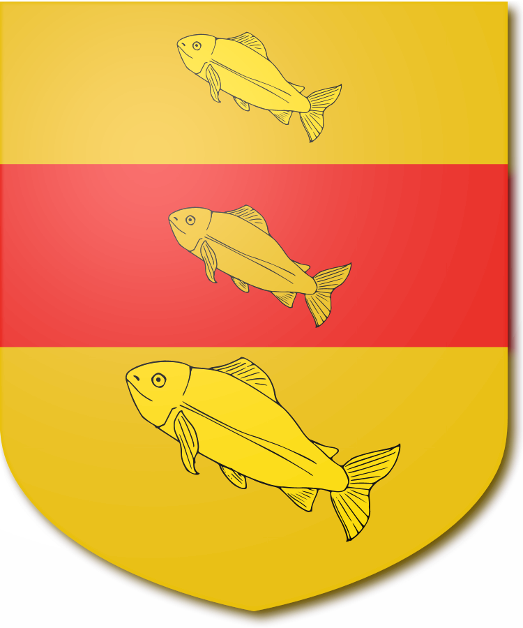 Shield image