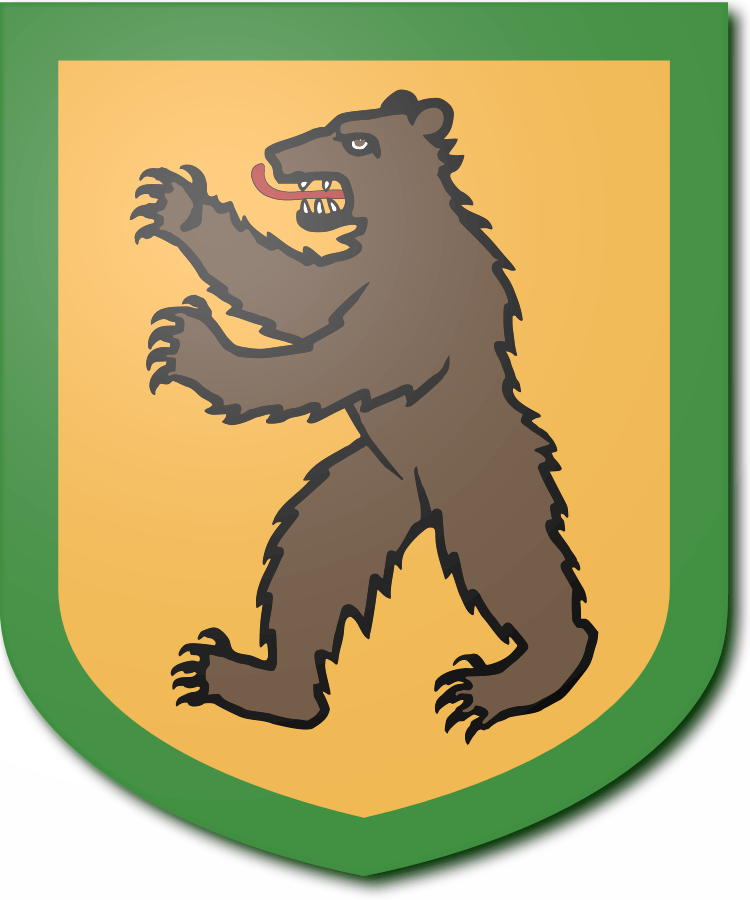 Shield image