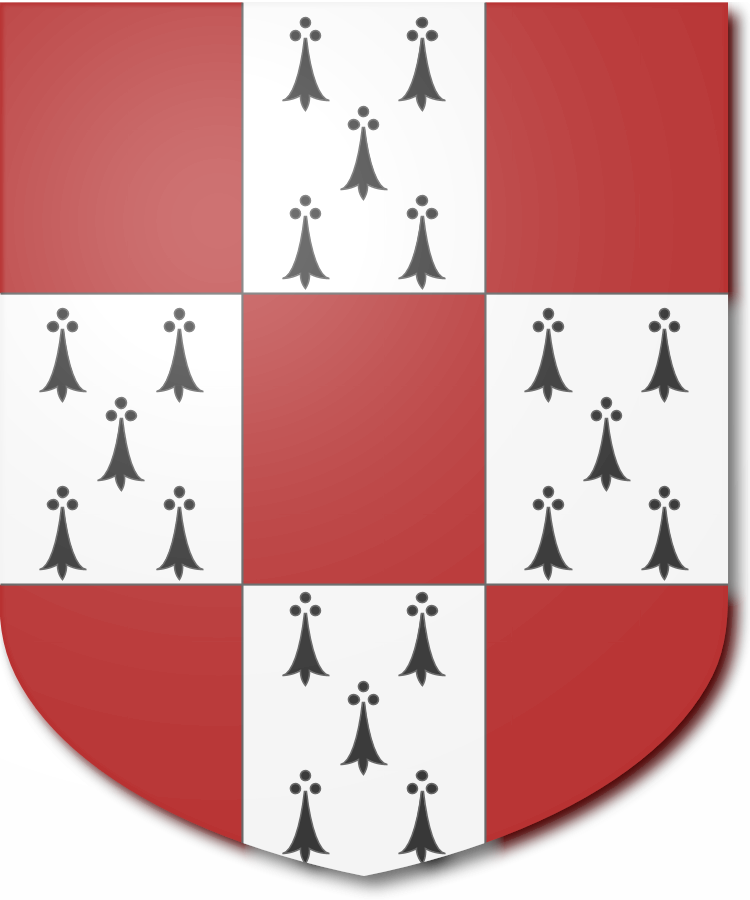 Shield image