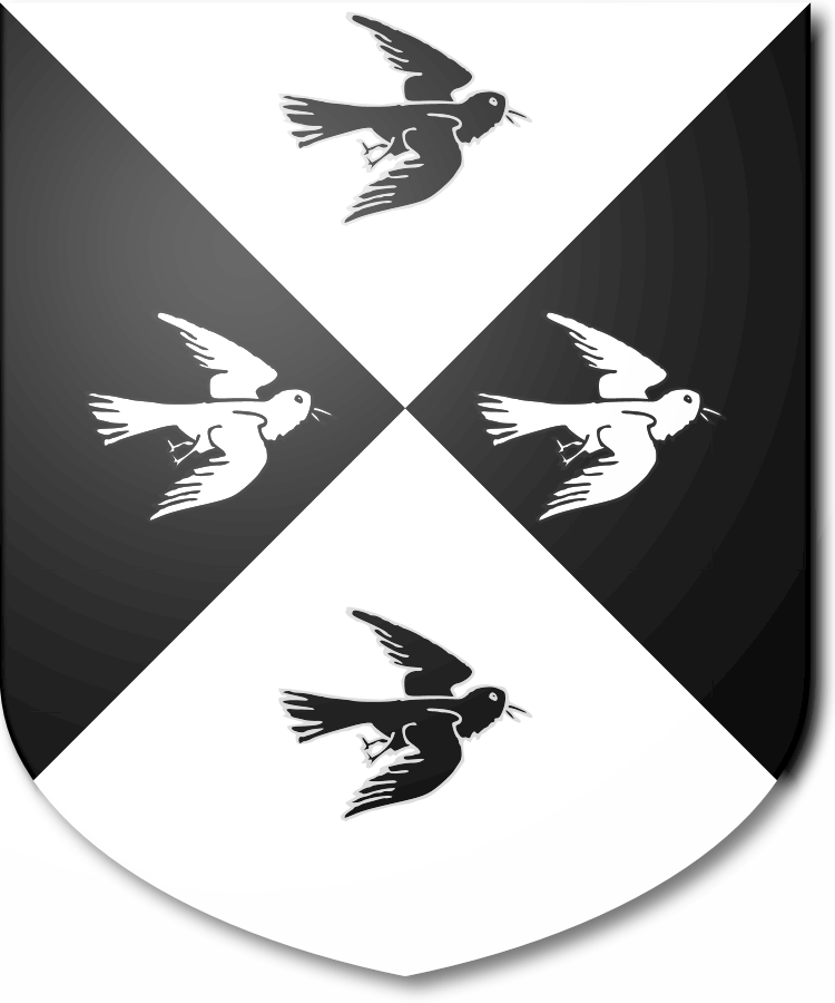 Shield image