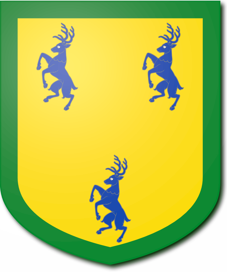 Shield image