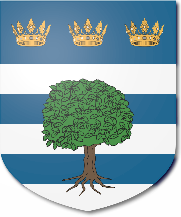 Shield image