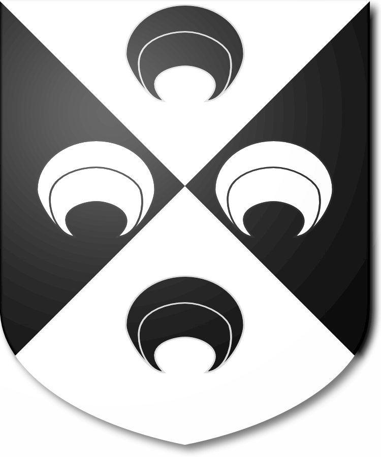 Shield image