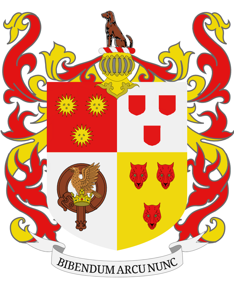 Shield image