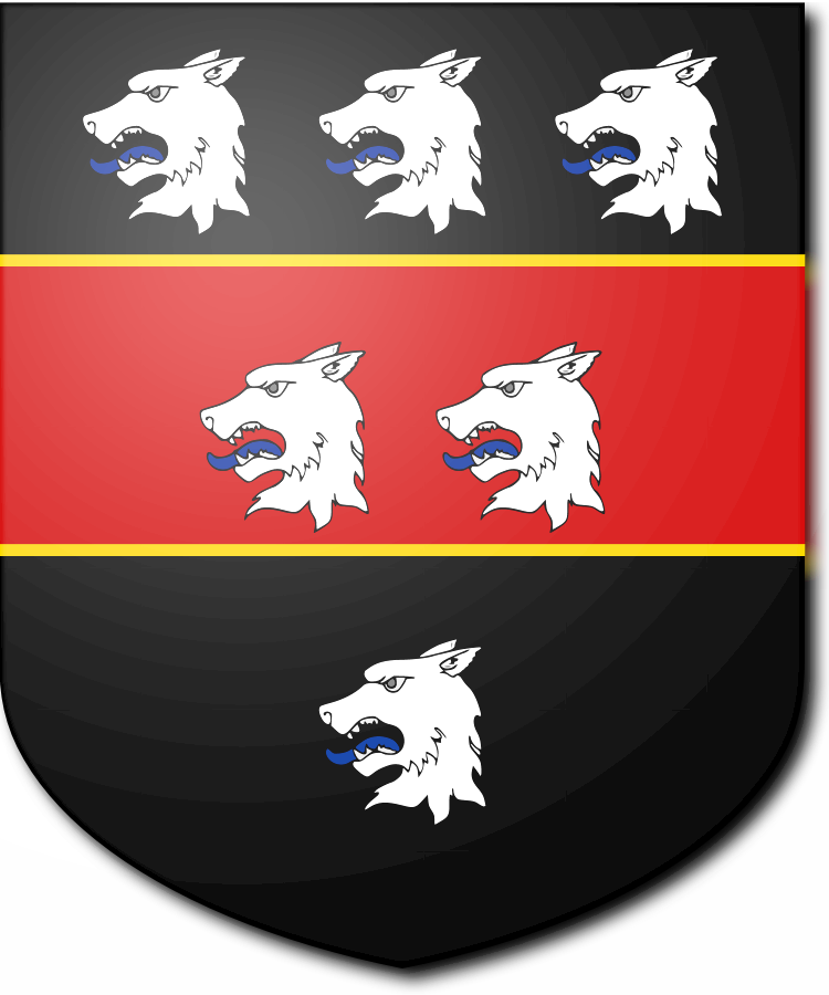 Shield image