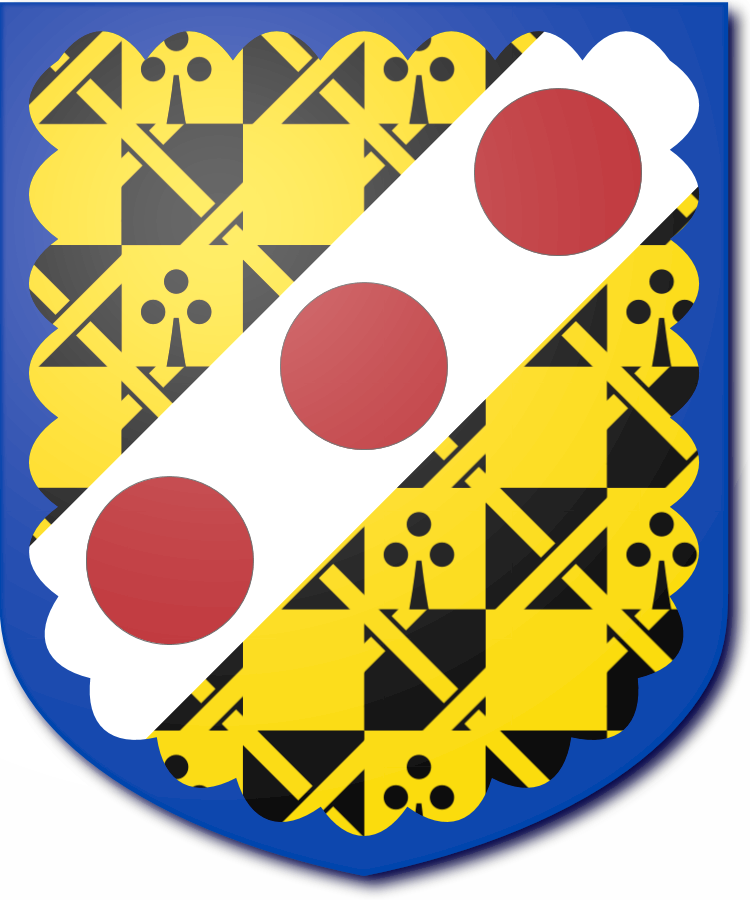 Shield image