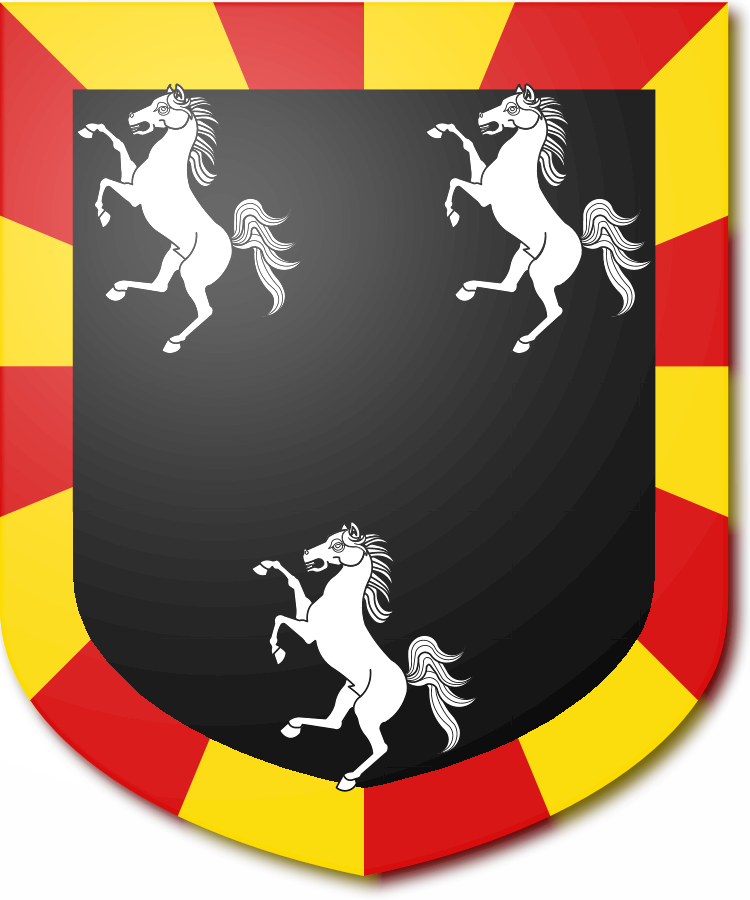 Shield image