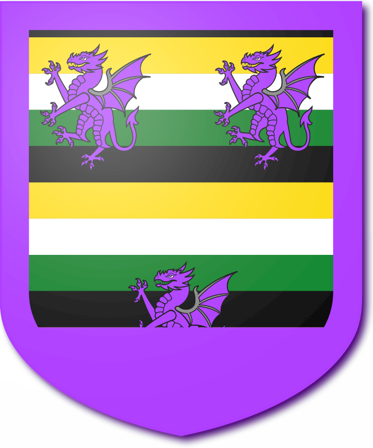 Shield image