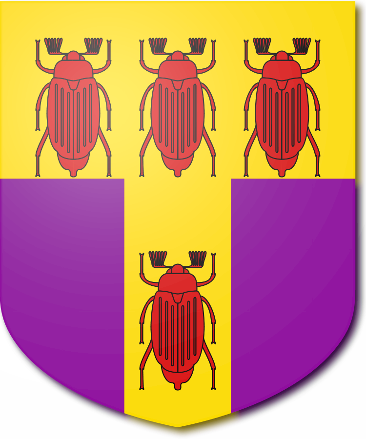 Shield image