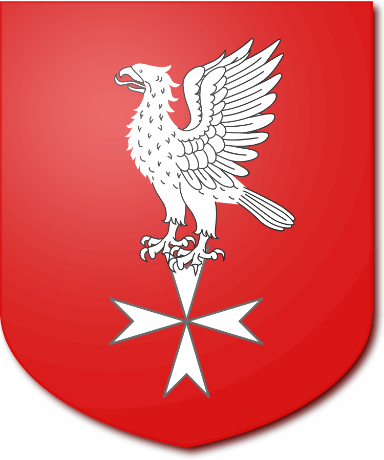 Shield image