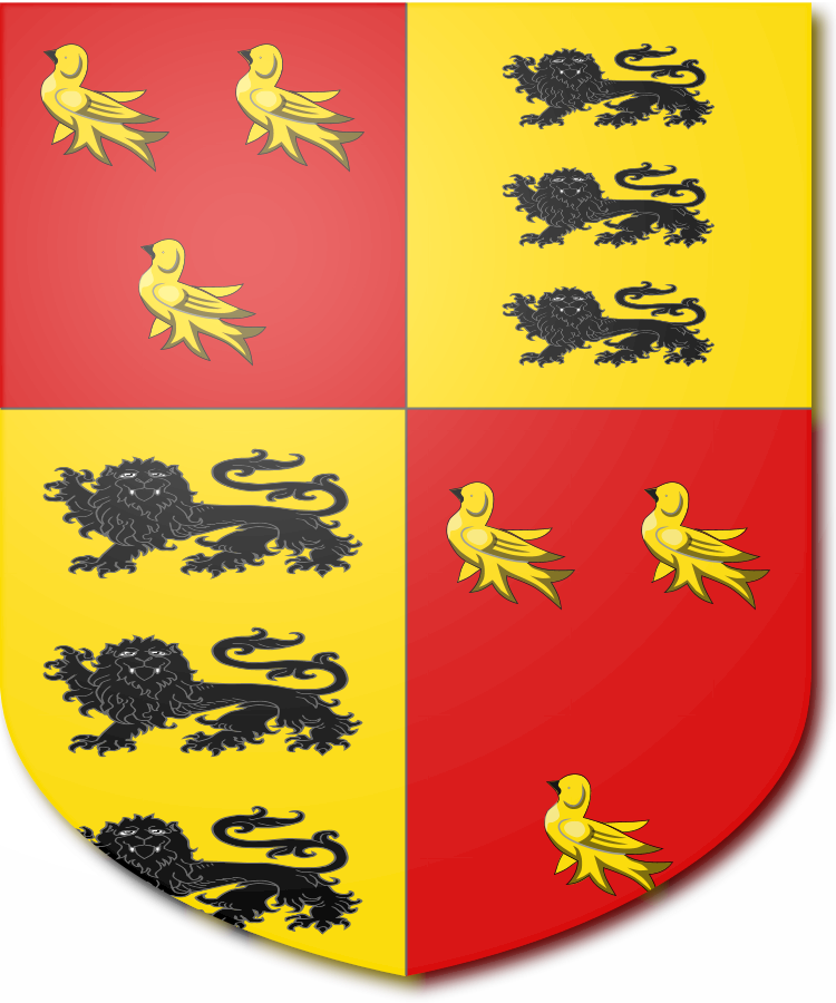 Shield image