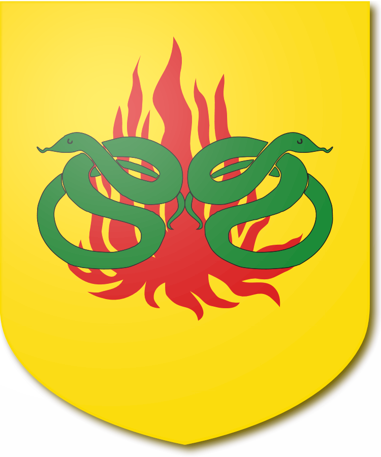 Shield image