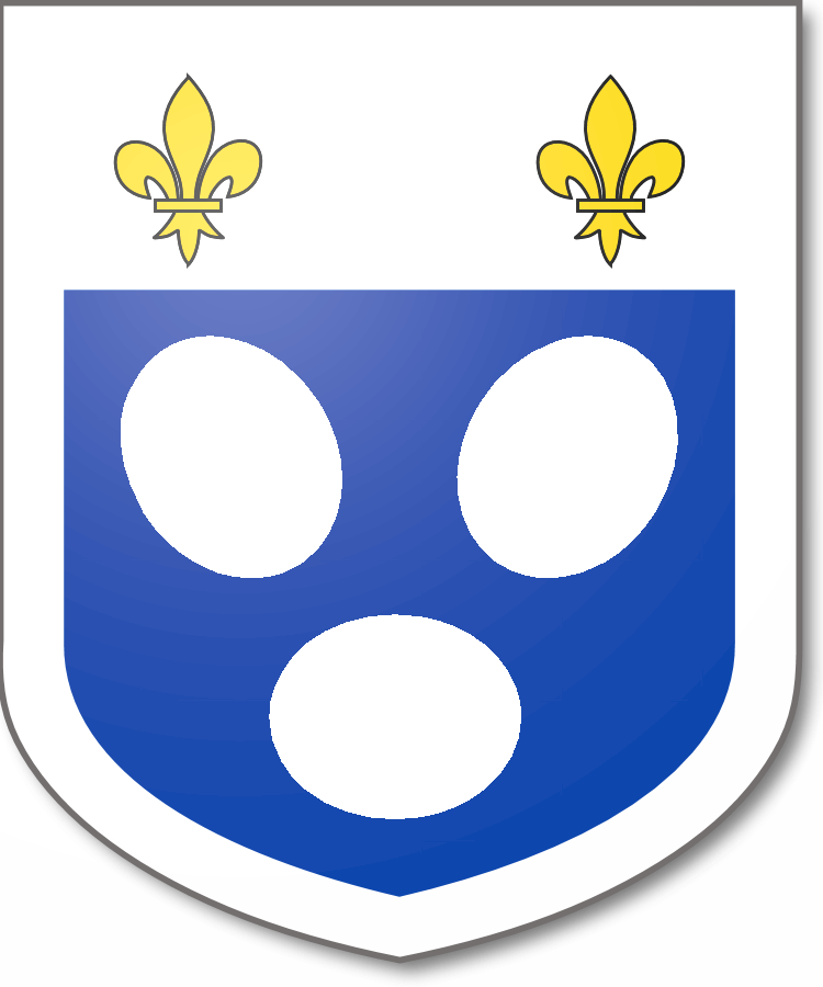 Shield image