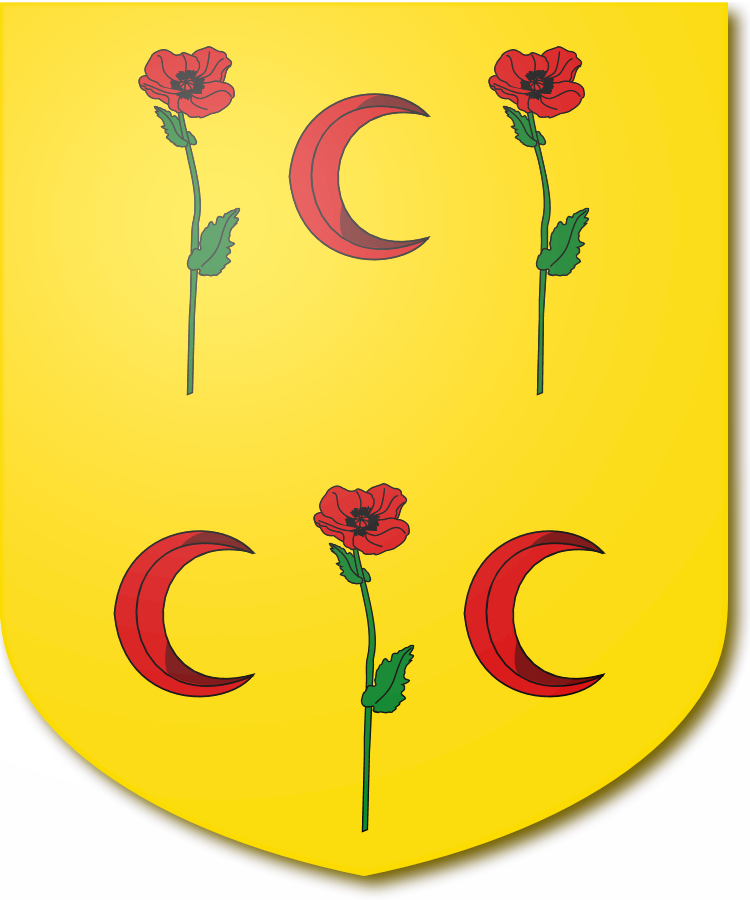 Shield image