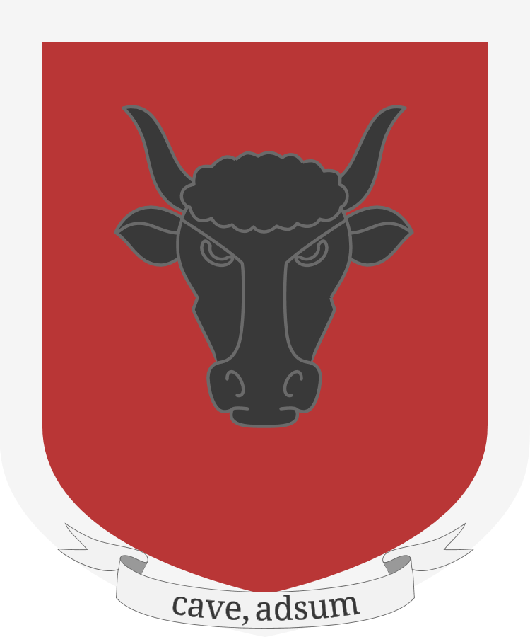 Shield image