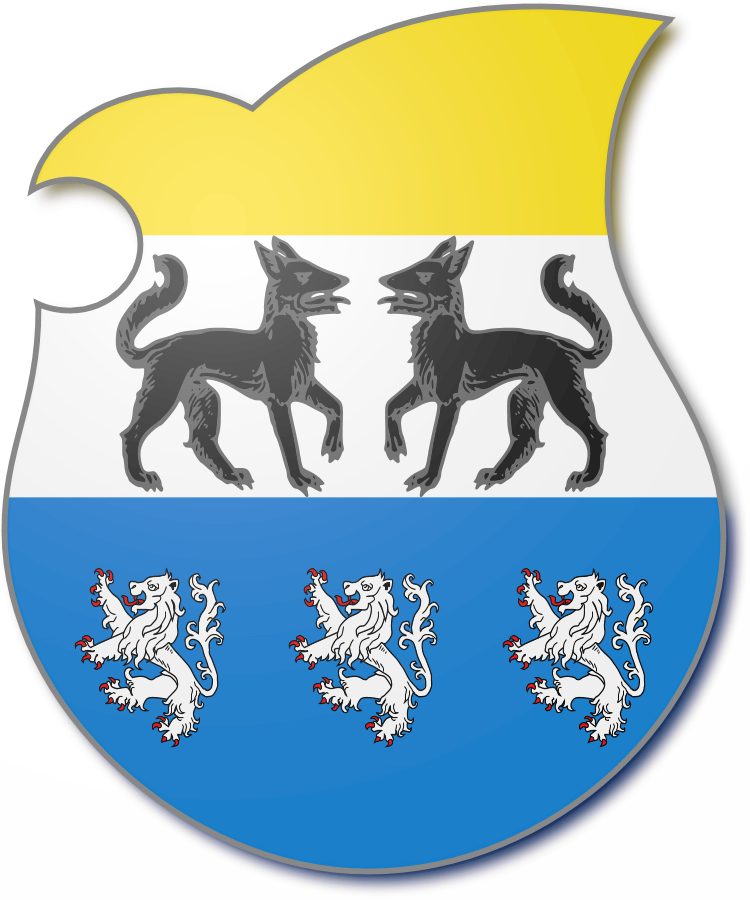 Shield image