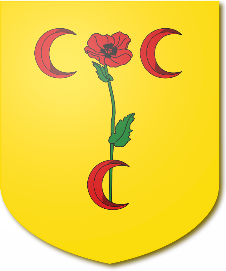 Shield image