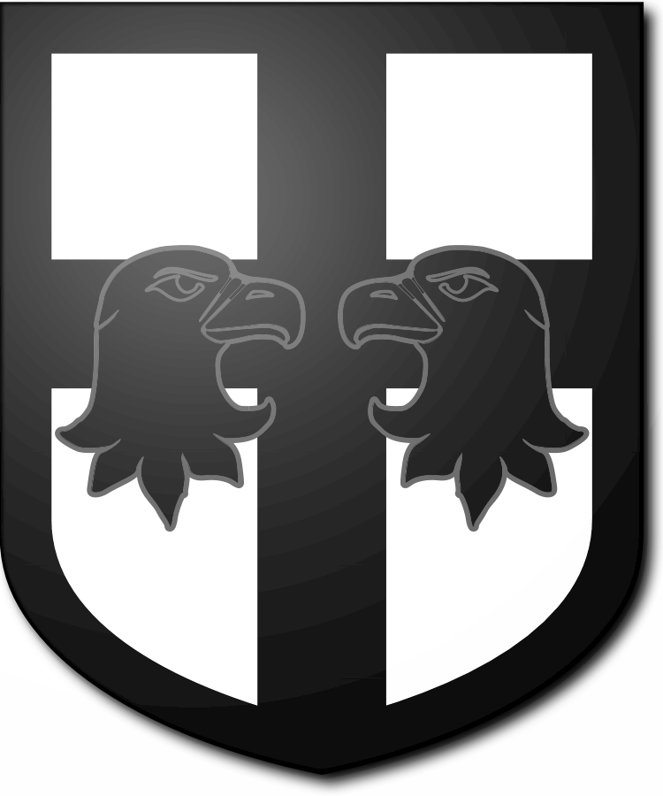 Shield image