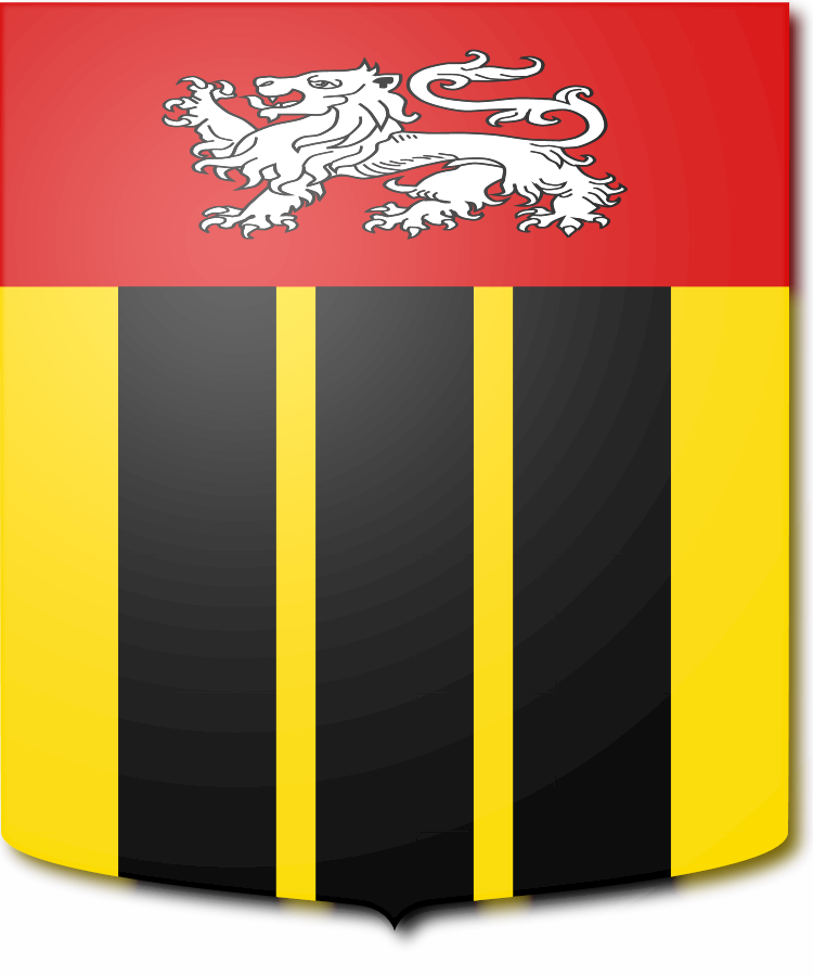 Shield image