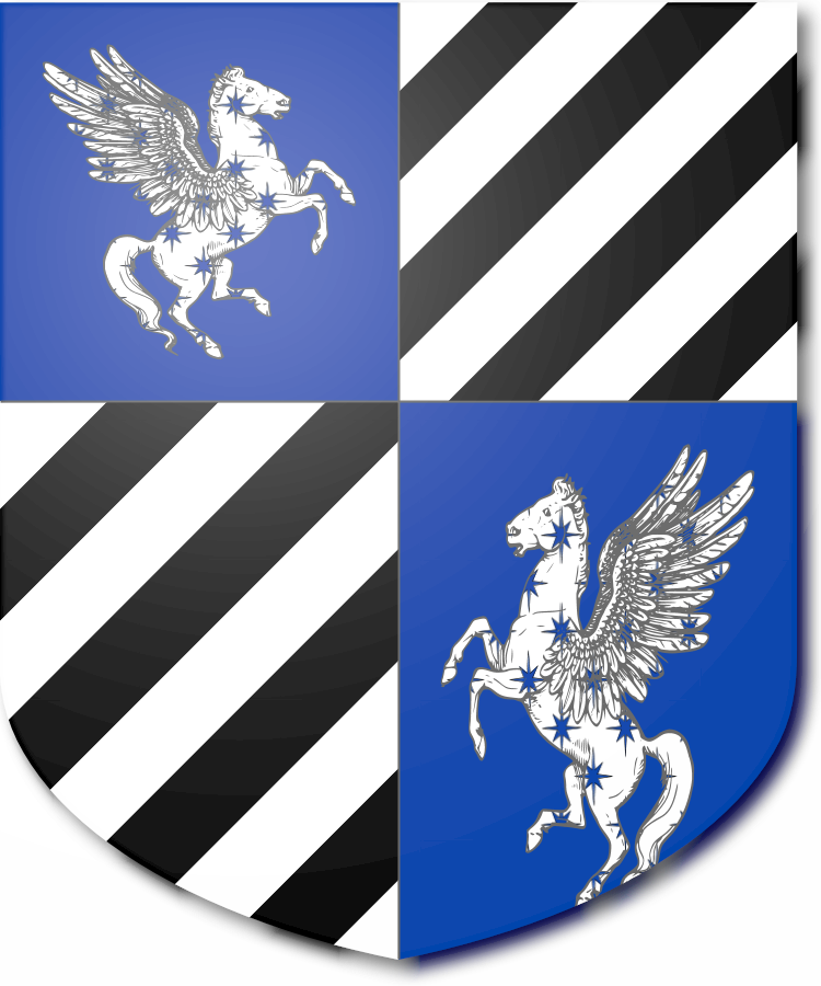 Shield image