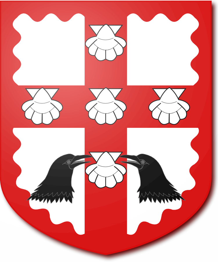 Shield image