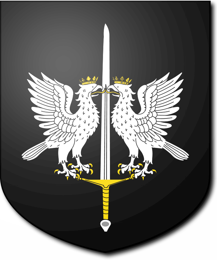 Shield image