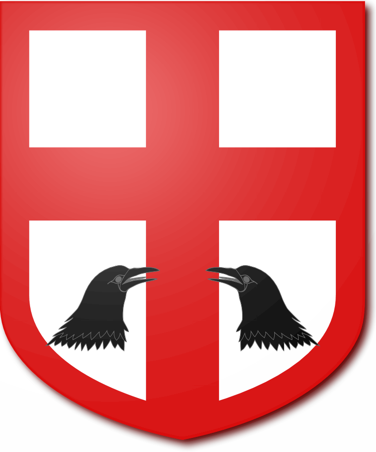 Shield image