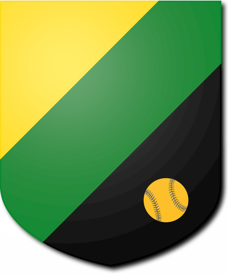 Shield image