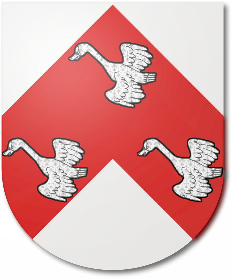 Shield image