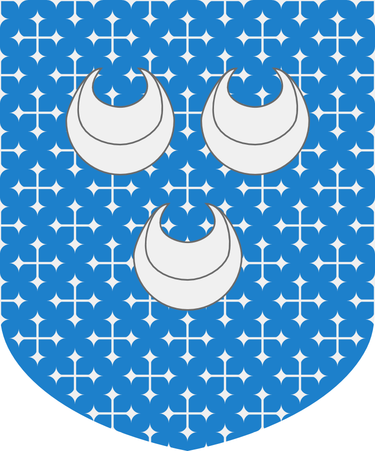 Shield image