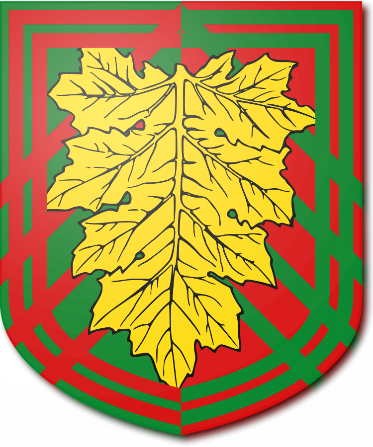 Shield image