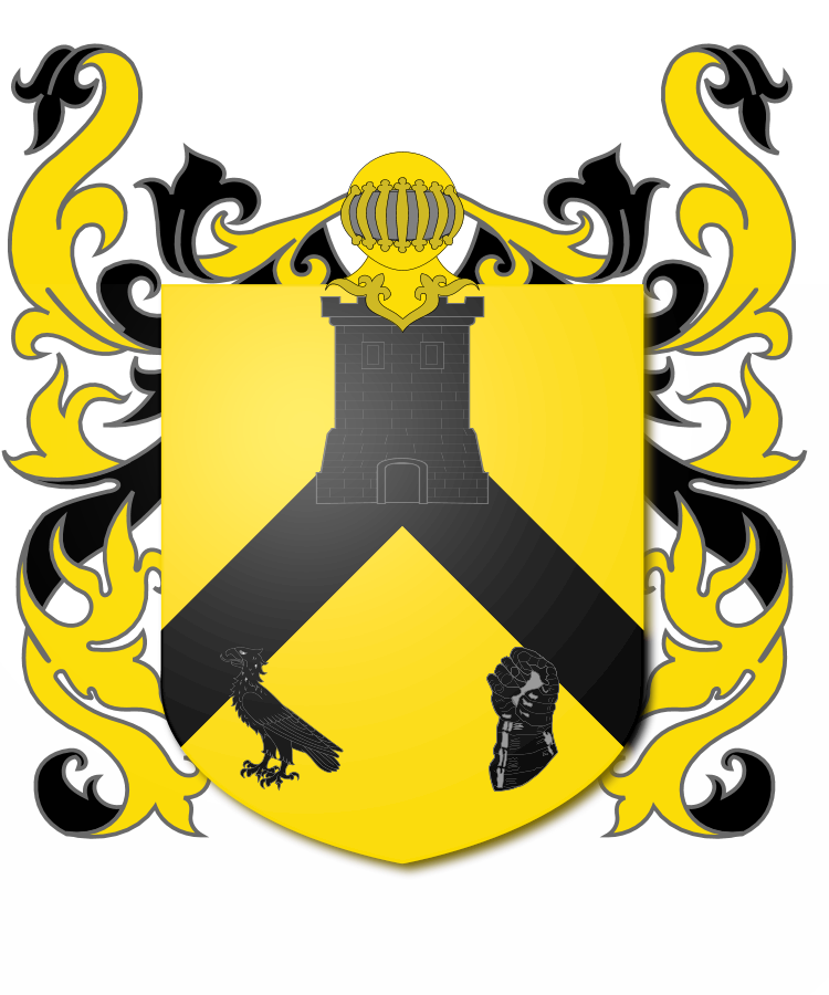 Shield image