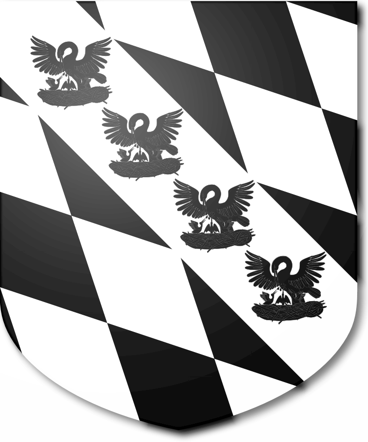 Shield image